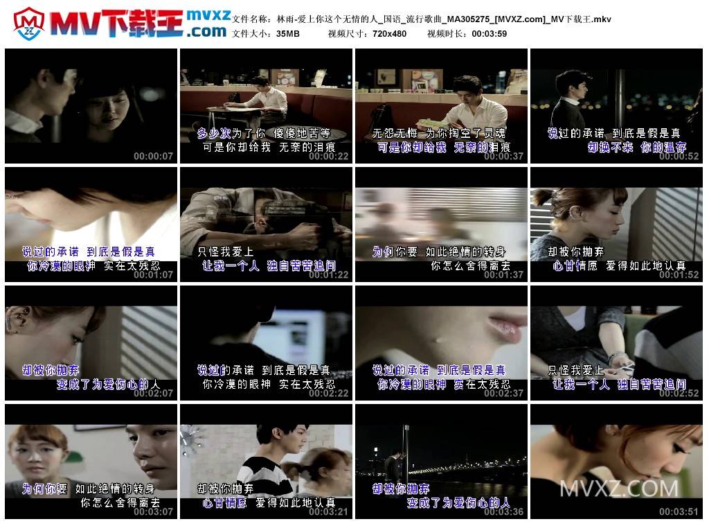 林雨-爱上你这个无情的人_国语_流行歌曲_MA305275